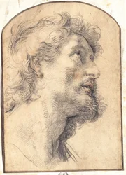Studie des Kopfes von Heiliger Crispin